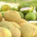 Food Safety Rules New Food Safety Rules Proposed By FDA