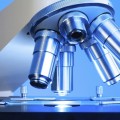 “Holiday” Treatment, A Big Step Forward In Fighting Cancer “Holiday” Treatment, A Big Step Forward In Fighting Cancer