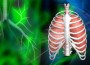 Asthma Treatment