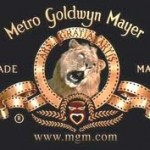 mgm-bankruptcy