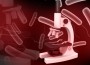 Microscope and cells