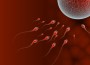 Sperms