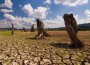 Climate Change Talks