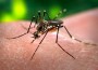 Dengue Fever Vaccine