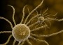 Cancer Treatment