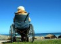 Alzheimer's Disease