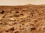 Life on Mars