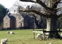 Anglesey