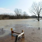 Memphis Flooding