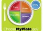 My Plate