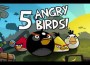 Real-life Angry Birds: Chinese Theme Parkâ€™s Newest Attraction
