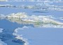 Arctic Region Records Second Worst Ice Melt