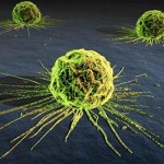 Cancer-fighting Virus Found to Kill Cancerous Tumors