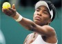Sick Venus Williams Withdraws from U.S. Open