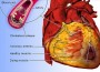Cardiovascular Diseases Prevented through Balanced Diet â€“ New Study Finds