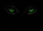 Glowing Cats Proposed for AIDS Research and Study