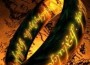 â€œThe Lord of the Rings Trilogyâ€: 3D Version to be launched in 2012
