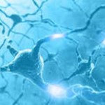 Experiments Prove Stem Cells can treat Neurological Ailments