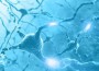 Experiments Prove Stem Cells can treat Neurological Ailments