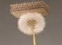 Scientists Develop Ultra-lightweight metallic structure 1000 Times Thinner than Hair