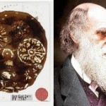 UK Scientists Find 'Lost' Darwin Fossils