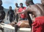 African Swimmer Killed By Shark