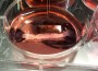 Hungry?: First Test-tube Hamburger will be Introduced this Fall
