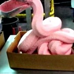 “Pink Slime” Forces Leading US Beef Processor to File Bankruptcy