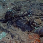 Recent “Titanic” Photos Show Evidence of Human Remains
