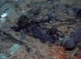 Recent â€œTitanicâ€ Photos Show Evidence of Human Remains