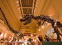 Did Dinosaurs Cause Global Warming?
