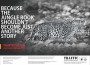 TRAFFICâ€™s Latest Ad: â€œâ€˜WANTED ALIVEâ€™: Help Save Our Big Catsâ€