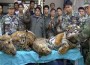 -Commerce Companies Declare Zero-Tolerance Illegal Online Wildlife Trading