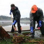 Japanese Discover Weird Creatures on Sea Dock One Year After Deadly Tsunami