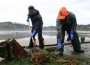 Japanese Discover Weird Creatures on Sea Dock One Year After Deadly Tsunami