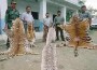 SAWEN Officials Prioritize Efforts to Combat Illegal Wildlife Trade in South Asia