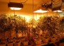 Ohio High School Drug Kingpin Arrested in Major Bust