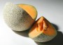 Another Cantaloupe Outbreak in 2012