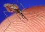 2012 West Nile Virus Outbreak