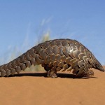 Website Devoted to Pangolin Care Launched