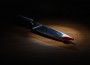 3 Year Old Child Witnessed Her Nanny Stabbing and Her Siblings Dead in the Tub