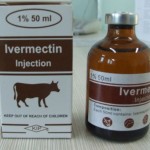 Ivermectin New Solution For Bedbug Outbreaks