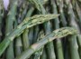 Study Shows Asparagus Helping In Dealing With A Hangover