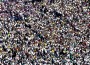 Overpopulation May Not Be The Futures Real Problem