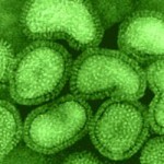 Drug-Resistant Superbugs May Be Eradicated By IBM Hydrogel