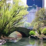 Central Park, Where Tourists And The Locals Mix