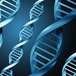 How Long Does DNA Actually Last ?