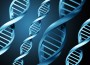 How Long Does DNA Actually Last ?