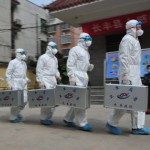 New Avian Flu Strain H7N9 Proves Very Dangerous 