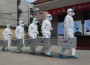 New Avian Flu Strain H7N9 Proves Very Dangerous